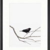 Plakát 24x29 cm Bird on the Branch – Tablo Center. Nejlepší citáty o lásce