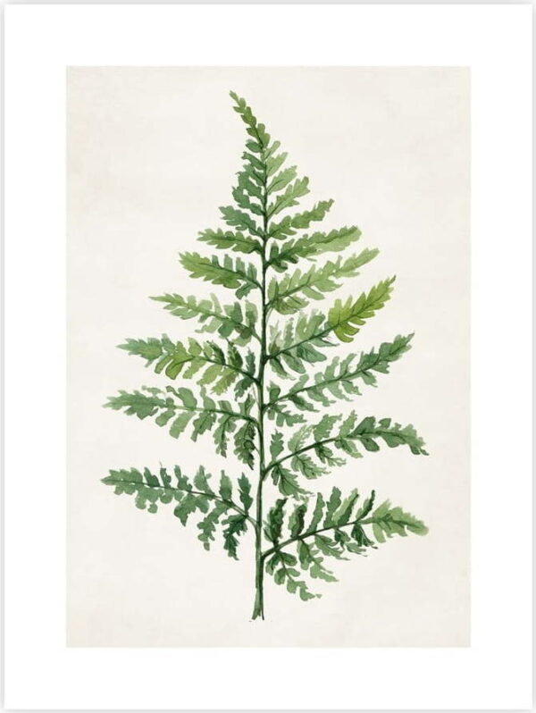 Plakát 40x50 cm Fern. Nejlepší citáty o lásce