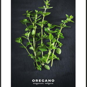 Plakát v rámu 50x70 cm Oregano – Styler. Nejlepší citáty o lásce