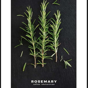 Plakát v rámu 50x70 cm Rosemary – Styler. Nejlepší citáty o lásce