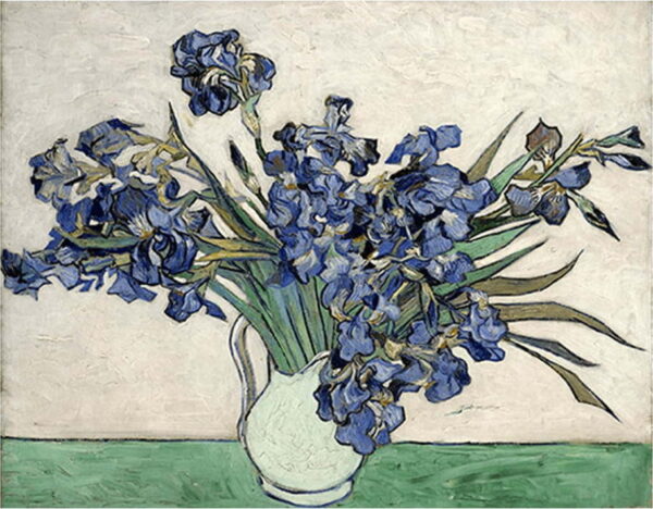 Reprodukce obrazu Vincenta van Gogha - Irises 2