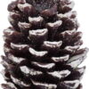 Vánoční svíčka Ego Dekor Pinecone