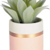 Umělá rostlina (výška 14 cm) Agave – Kave Home. Nejlepší citáty o lásce