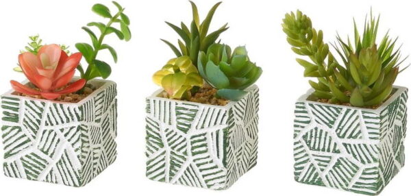 Umělé rostliny v sadě 3 ks (výška 12 cm) Cactus – Casa Selección. Nejlepší citáty o lásce