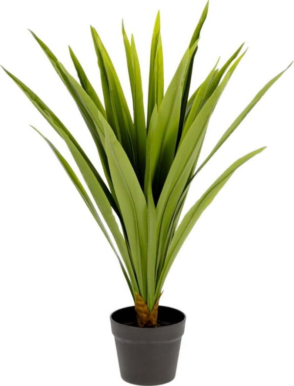 Umělá rostlina (výška 80 cm) Yucca – Kave Home. Nejlepší citáty o lásce