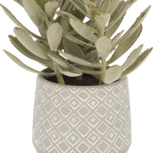 Umělý sukulent (výška 23 cm) Kalanchoe Tomentosa – Kave Home. Nejlepší citáty o lásce