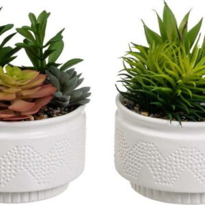 Umělé rostliny v sadě 2 ks (výška 19 cm) Cactus – Casa Selección. Nejlepší citáty o lásce