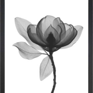 Plakát 24x29 cm Harmony Flower – Tablo Center. Nejlepší citáty o lásce