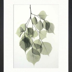 Plakát 24x29 cm Tender Leaves – Tablo Center. Nejlepší citáty o lásce