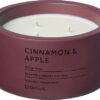 Vonná sojová svíčka doba hoření 25 h Fraga: Cinnamon & Apple – Blomus. Nejlepší citáty o lásce