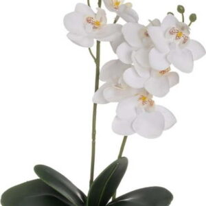 Umělá květina (výška 39 cm) Orchid – Casa Selección. Nejlepší citáty o lásce