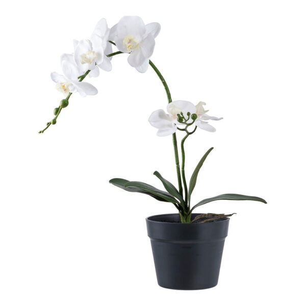 Umělá květina (výška 47 cm) Orchid – House Nordic. Nejlepší citáty o lásce