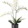 Umělá květina (výška 84 cm) Orchid – Bloomingville. Nejlepší citáty o lásce