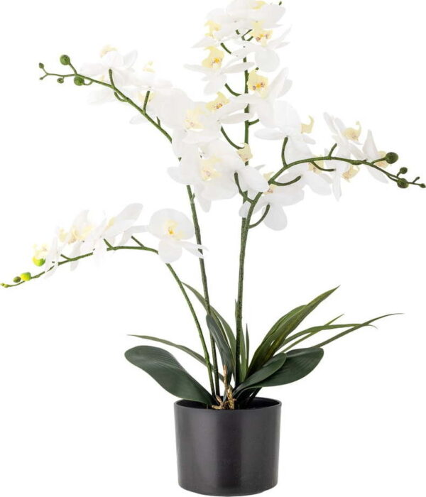 Umělá květina (výška 84 cm) Orchid – Bloomingville. Nejlepší citáty o lásce