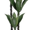 Umělá rostlina (výška 120 cm) Agave – Ixia. Nejlepší citáty o lásce