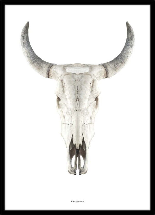 Plakát v rámu 50x70 cm Cow Skull – Malerifabrikken. Nejlepší citáty o lásce