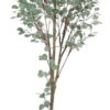 Umělý eukalyptus (výška 180 cm) Eucalyptus – Ixia. Nejlepší citáty o lásce