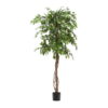 Umělý fíkus (výška 180 cm) Ficus – Kave Home. Nejlepší citáty o lásce